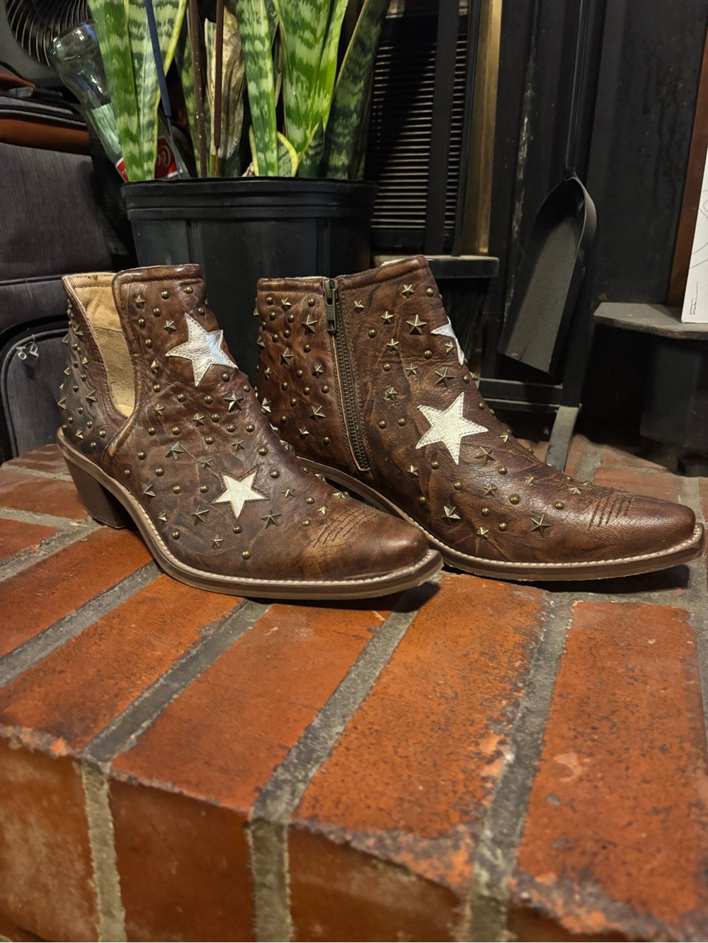 Myra Toasty Ankle Boots
